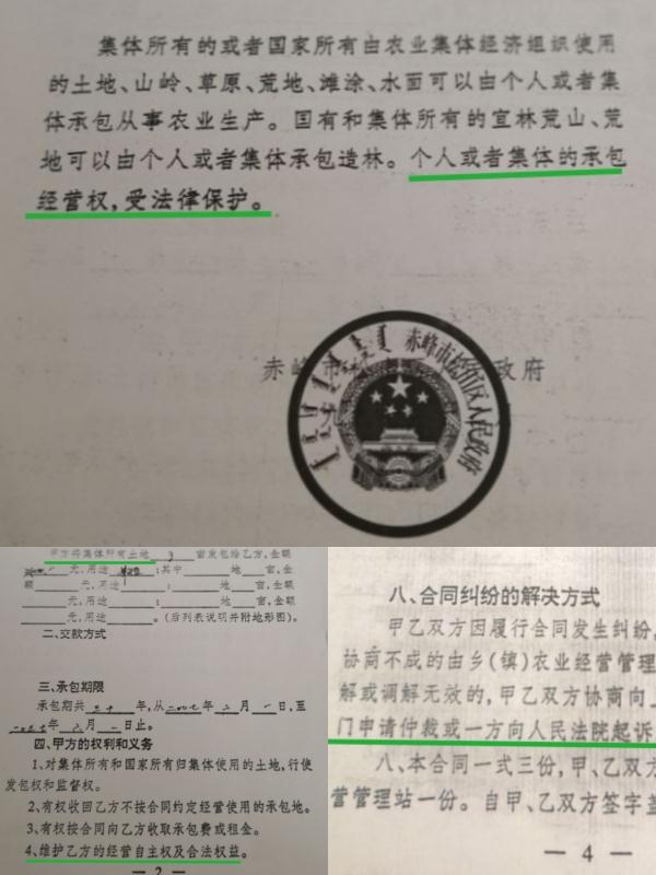 0bb40b236e58259ddff6587fca0bedf.jpg