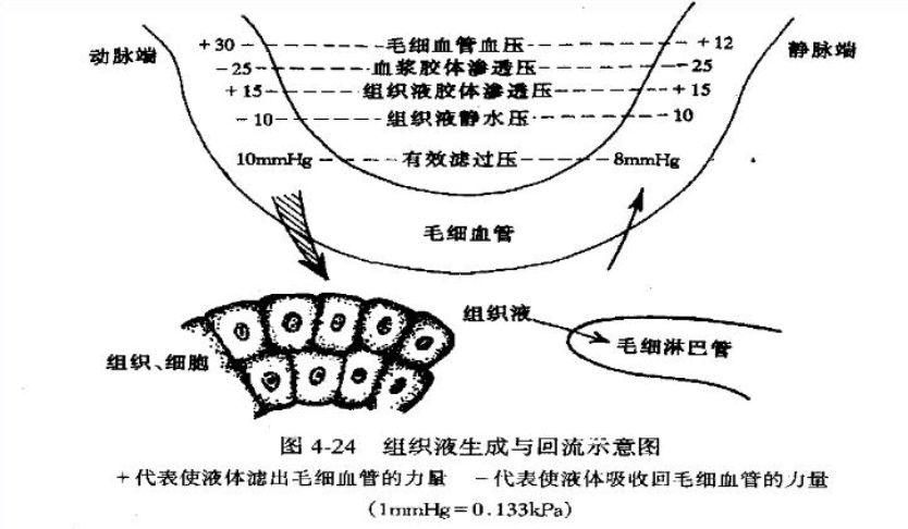 早上脸肿成馒头，几小时后生图突然美哭，杨紫怎么做到的？