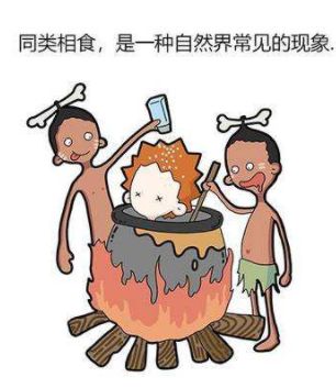 吃虫的广东,无奇不有