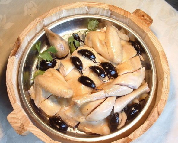 吃虫的广东,无奇不有