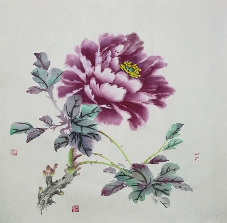 中华经典露珠牡丹——著名画家常辉先生作品鉴赏!