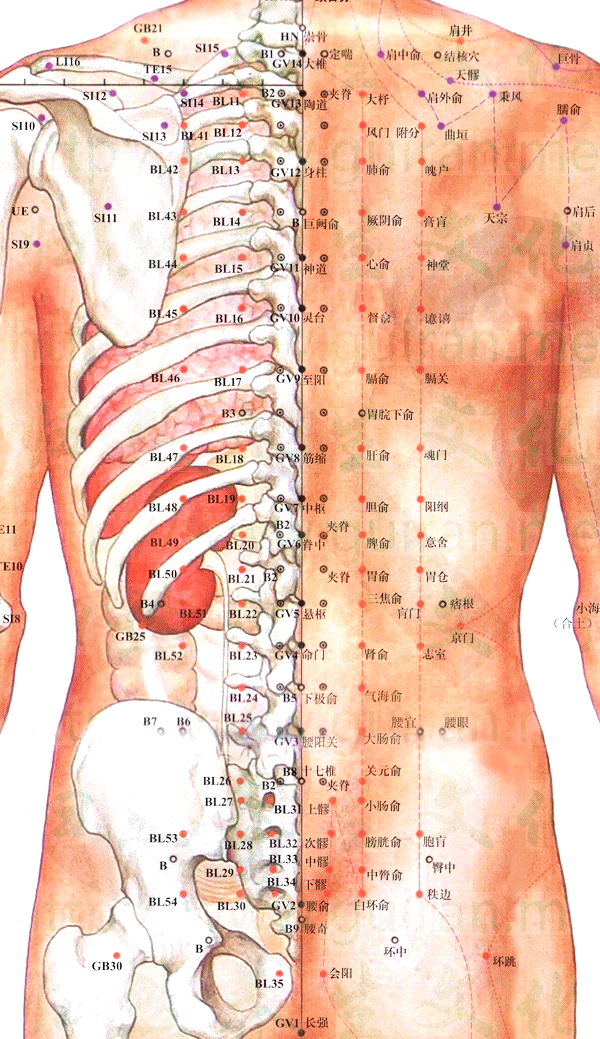 乳房胀痛,按摩这几个穴位缓解!更能让你的胸部瞬间大起来