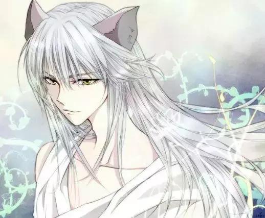 从动漫到虚拟主播,为什么阿宅们这么喜欢吸狐狸?