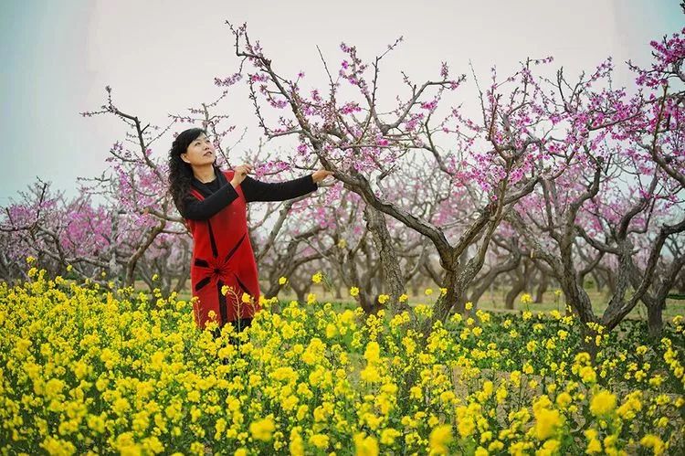 民和桃花园