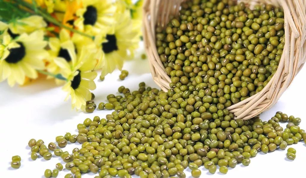 绿豆总是煮不烂?让绿豆「快速开花」的技巧就在这!