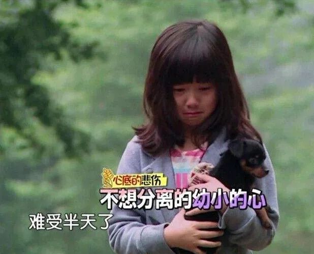 一个健康的孩子,一生至少要背叛父母三次