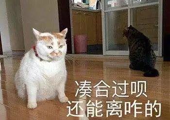 苹果肌垂到嘴角的郑爽出演《新倩女幽魂》剧照流出，这状态我真夸不出口···