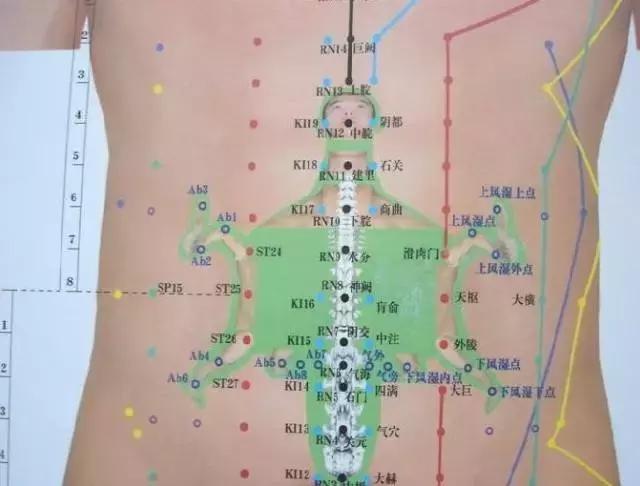 看懂这张图,穴位不用找(人体全息图)