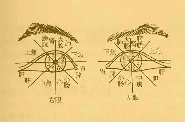 看懂这张图,穴位不用找(人体全息图)