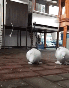 污的不行:钢铁直男这种生物,果然是这个世界上最能产生段子的物种