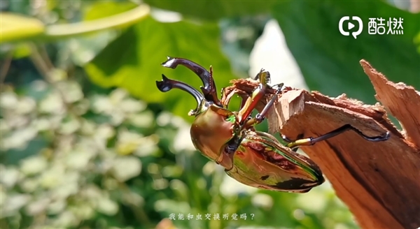 首部华为P30 Pro拍摄的轻科幻CG短片来了：画面震撼