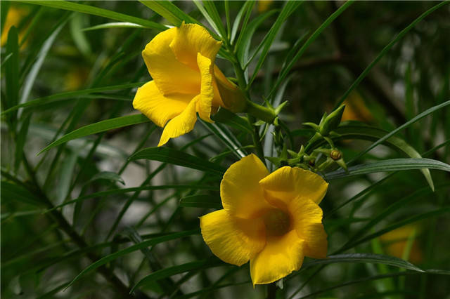 128db9d639fc4cda850829a4c70ce8be.JPG 128db9d639fc4cda850829a4c70ce8be.JPG