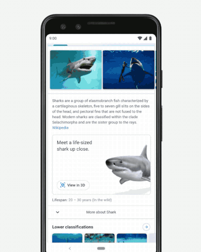 谷歌刚开了个发布会，我觉得 Siri 凉了