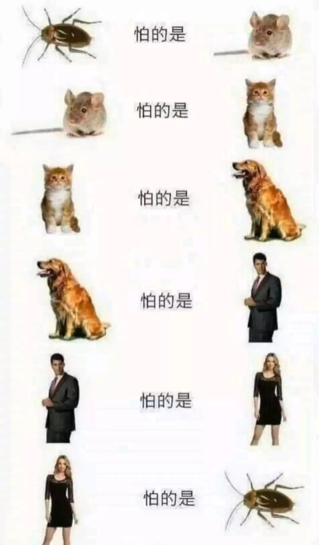 《锦绣未央》小说一审被判抄袭；《绝地求生：刺激战场》正式停服；苹果和巴菲特合作推出免费小游戏 | 猬报