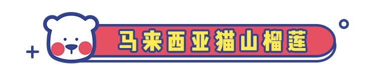 看了食神蔡澜的死前必吃清单，网友惊了：第一种就没吃过！