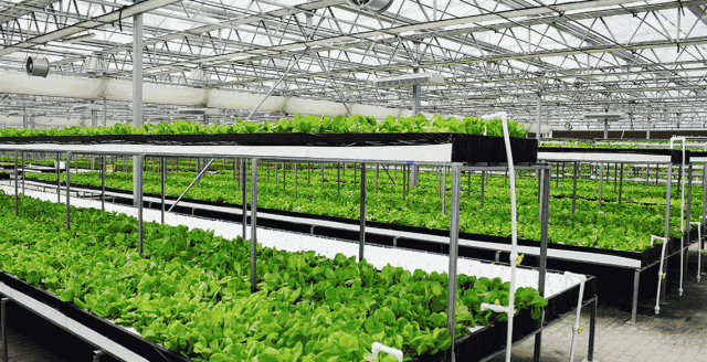 640_328gif 动态图 动图