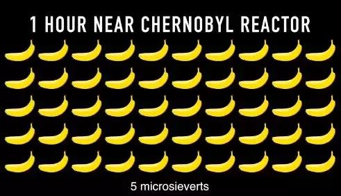 人间地狱切尔诺贝利，现在已经“鸟语花香”