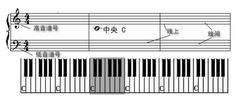 4,钢琴谱里常用的谱号为 高音谱号和 低音谱号