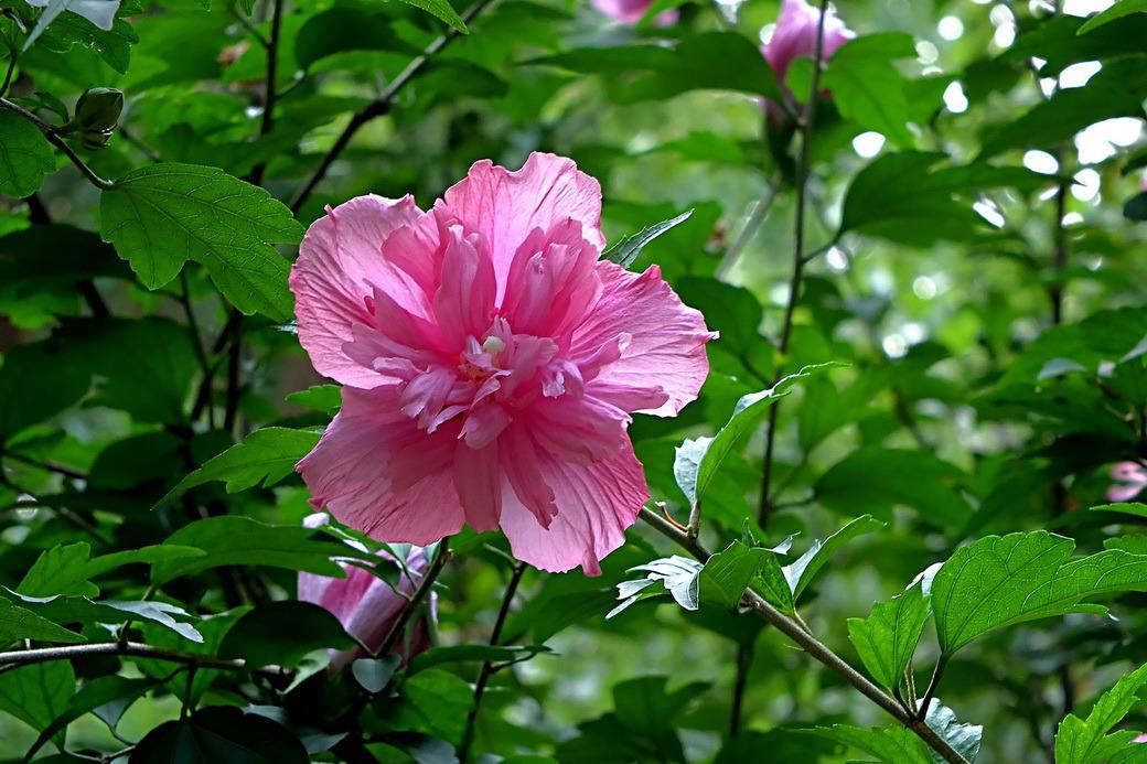 a98ce1ff747d4a58b8e95e1d872e665c.jpg
