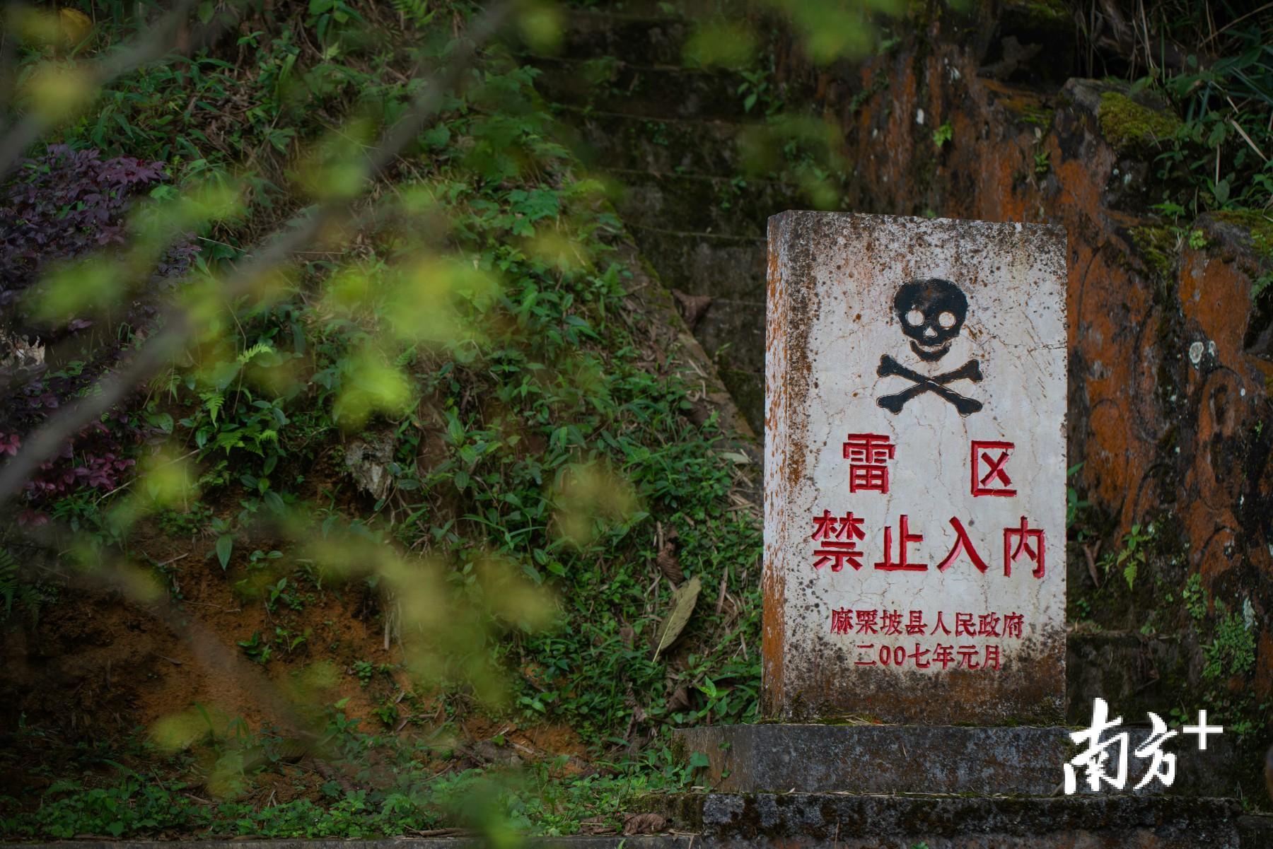 县天保口岸往南延伸,道路两旁随处可见刷有骷髅头标志的雷区警示牌