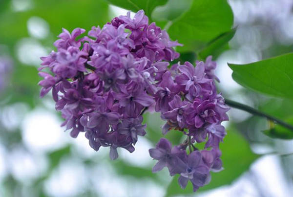 9f70fbdcb7f2495caebfc2a8d94674cc.jpg 9f70fbdcb7f2495caebfc2a8d94674cc.jpg