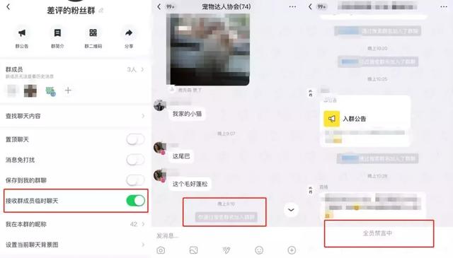 头条推出飞聊再战微信，我在上面加到了刘强东的好友……