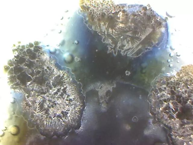 156、瓷器微观典型特征