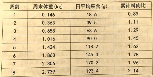 「肉禽养殖窍门」肉鸡饲养管理