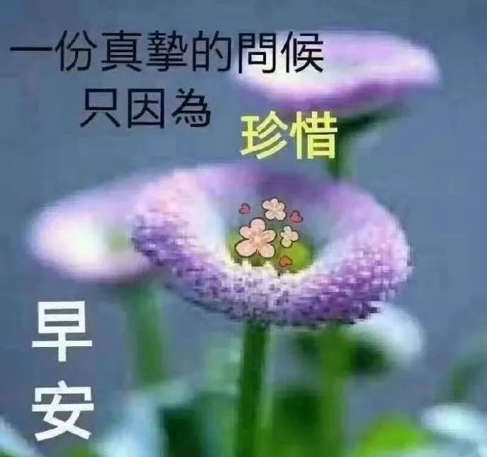 2019最新早上好短信祝福图片 漂亮早上好动态图片清晨