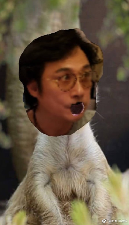 71482140ly1g3gs03t5u3j20cc0liwq8