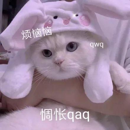 许久不营业的国民初恋，突然胖成球状白百何…