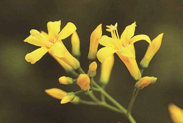 a55db361e8f443e1be92cad43452eaca.jpg a55db361e8f443e1be92cad43452eaca.jpg