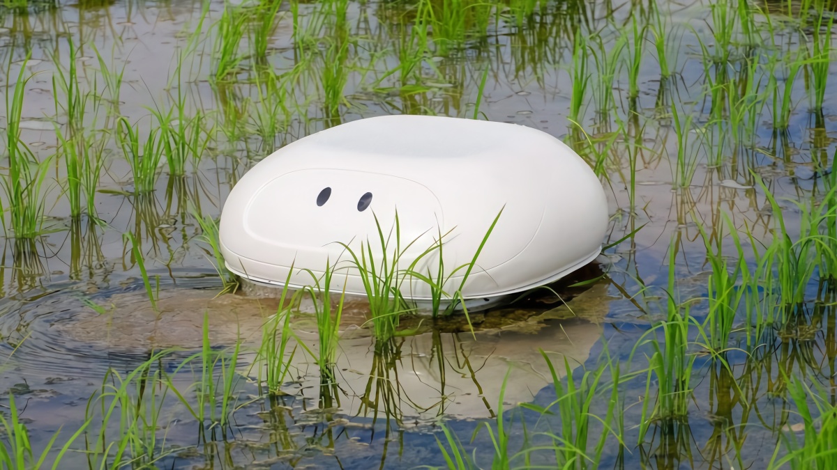 这种「鸭子」机器人或许能成为水稻种植的新帮手