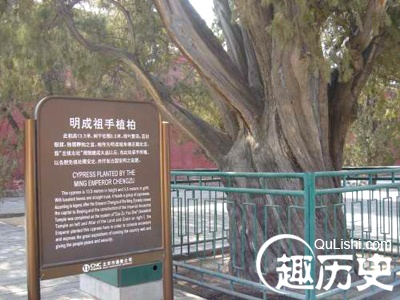历代帝王均提倡植树 永乐年间盗木十株“廷杖四十”