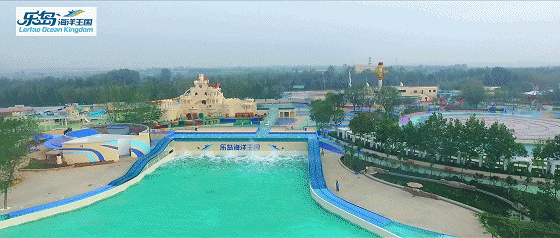 2019海豚音乐节和大海一起听 2019海豚音乐节和大海一起听