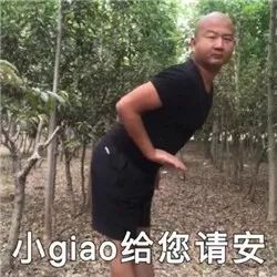 还有快手上的 giao哥