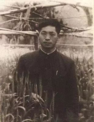 英语流利、俄语不差,会拉小提琴、跳踢踏舞……原来你是这样的袁隆平