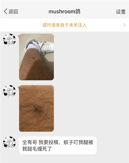 每日神段子腿毛多其实是一件好事