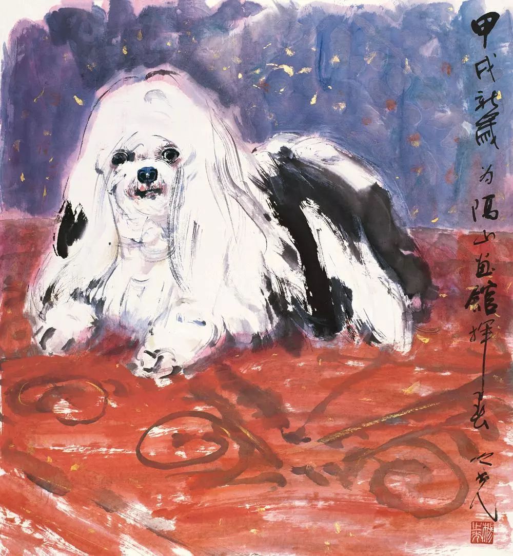 杨之光 狗