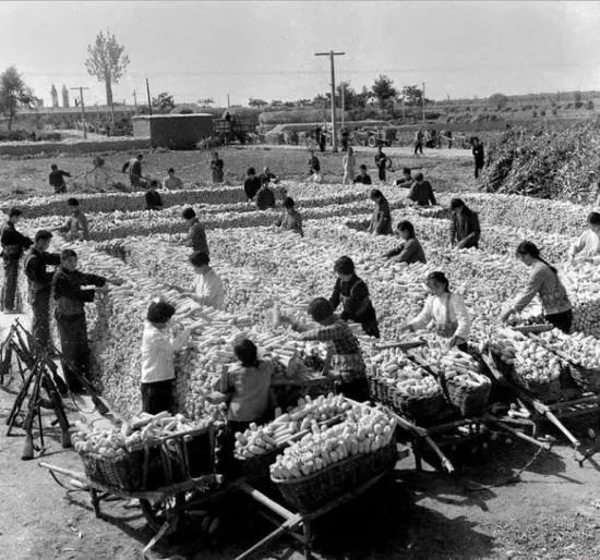 老照片:70年代的中国农村