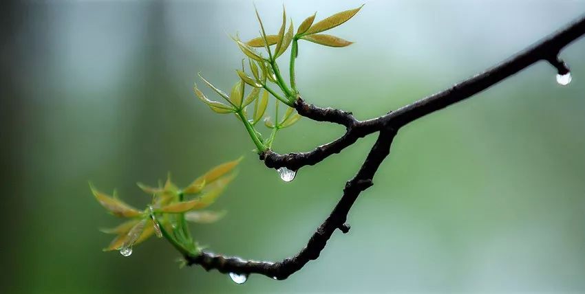 心累了,听一曲萨克斯《微风细雨》,让心归于宁静.