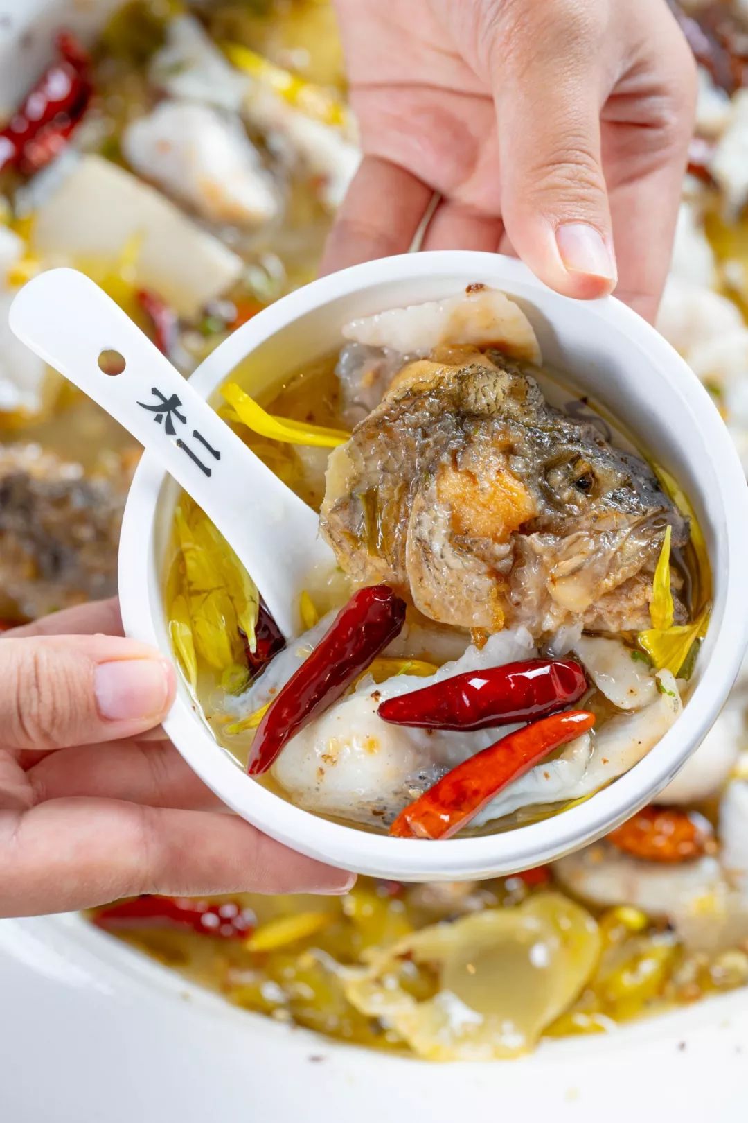 号外!“酸菜比鱼好吃”的酸菜鱼席卷帝都!今天你吃了嘛!