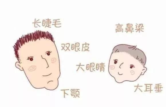 盛景基因:父母哪些基因会100%遗传给孩子,你的宝宝中招了吗?