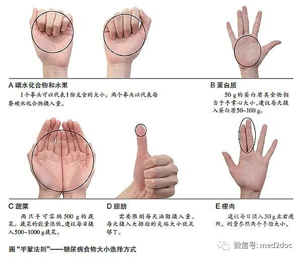 用"手掌法则"就是利用自己的手,就可以基本确定每日所需食物的量了.