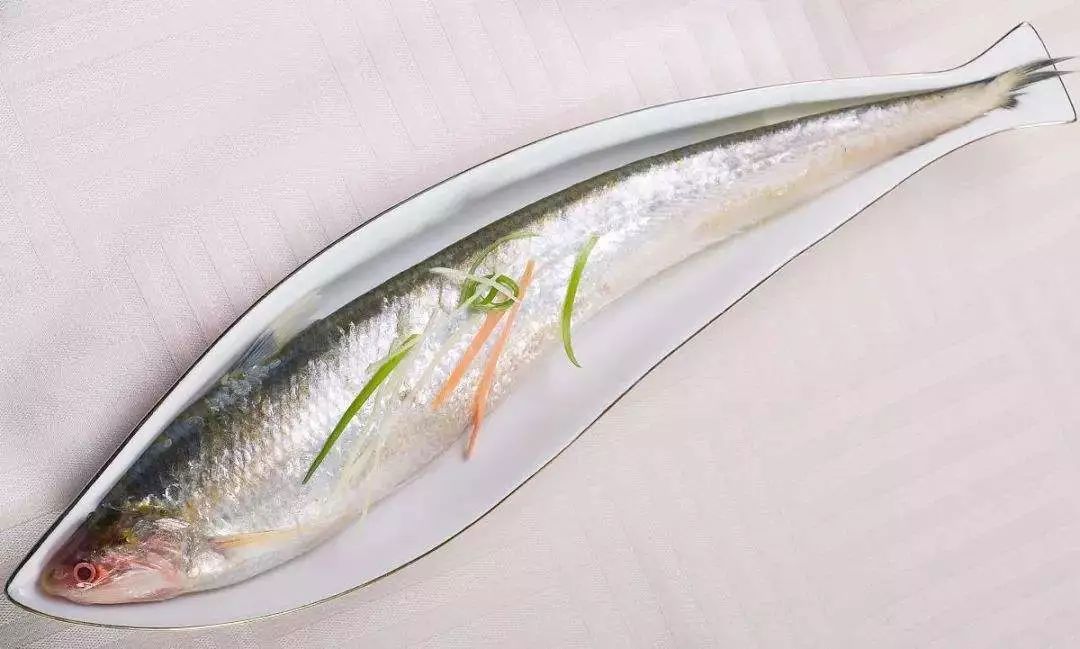 1勺25万的顶级食物!我居然吃到了