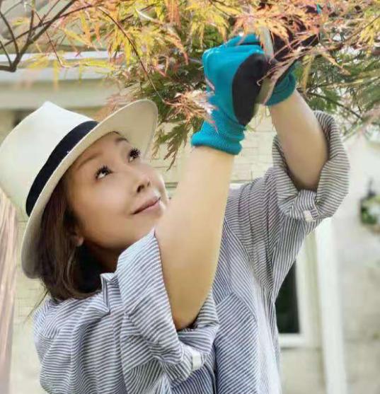 47岁孙悦晒与老公手牵手出游照片，婚礼曾在自家饺子馆举行
