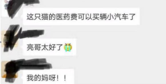 11岁天天抱猫照太温柔，张亮夫妇花一辆轿车钱只为救猫