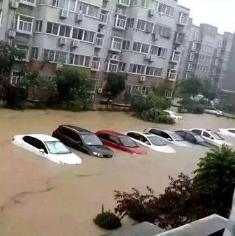 车子被淹了为何还不挪走？车主：你有所不知