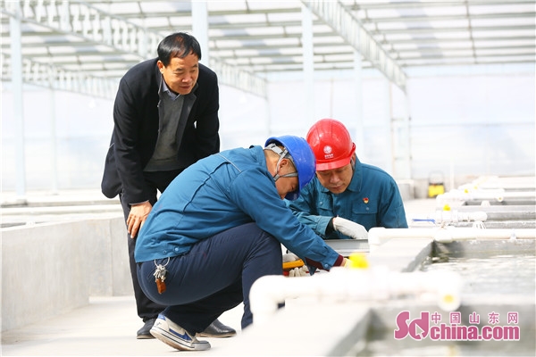 淄博市周村区:凤凰山下致富路 大发8888网站登录