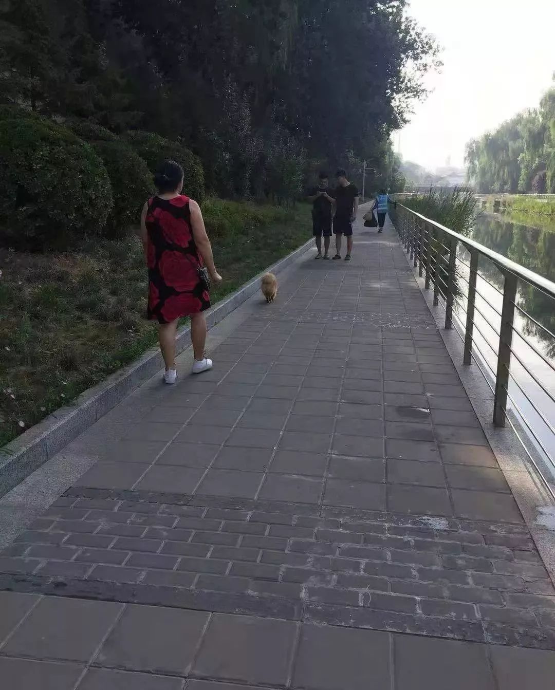 “喂,长治养狗的,请当好你的铲屎官……” ag真人试玩